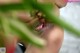 A close up of a person with a plant in their hand.